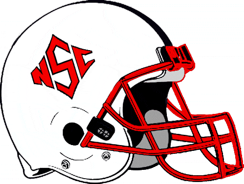 North Carolina State Wolfpack 1986-1998 Helmet Logo diy fabric transfer